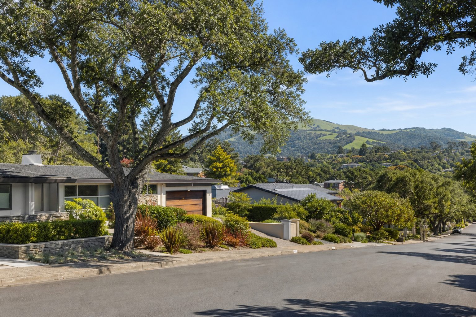 Sunny residential street of homes with mature trees in Noe Valley, San Francisco