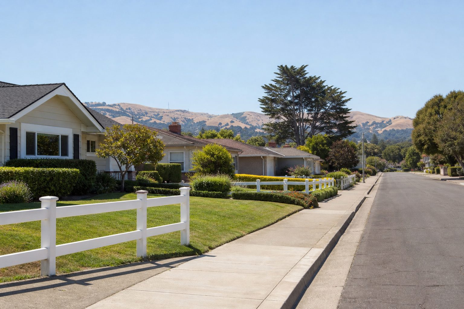 Quiet Bay Area peninsula street with mid-century homes and mature trees